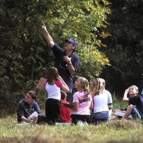 Why we love trees and you should too